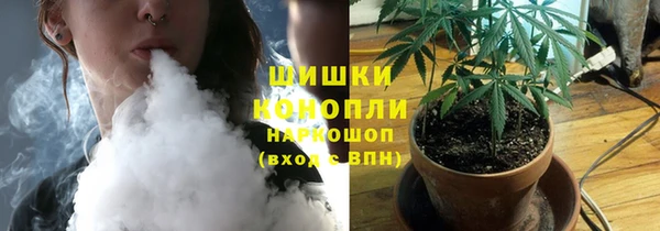 ГАЛЛЮЦИНОГЕННЫЕ ГРИБЫ Баксан