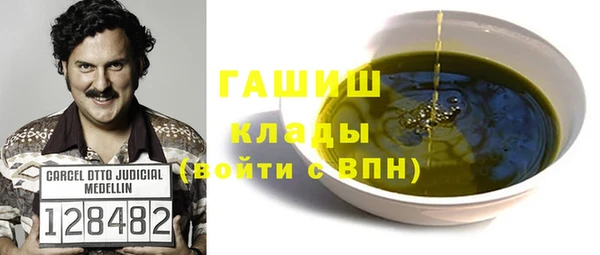 индика Тотьма