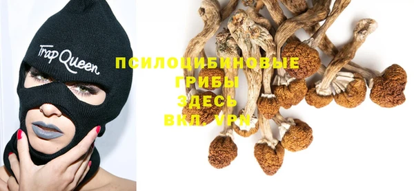 ECSTASY Аркадак